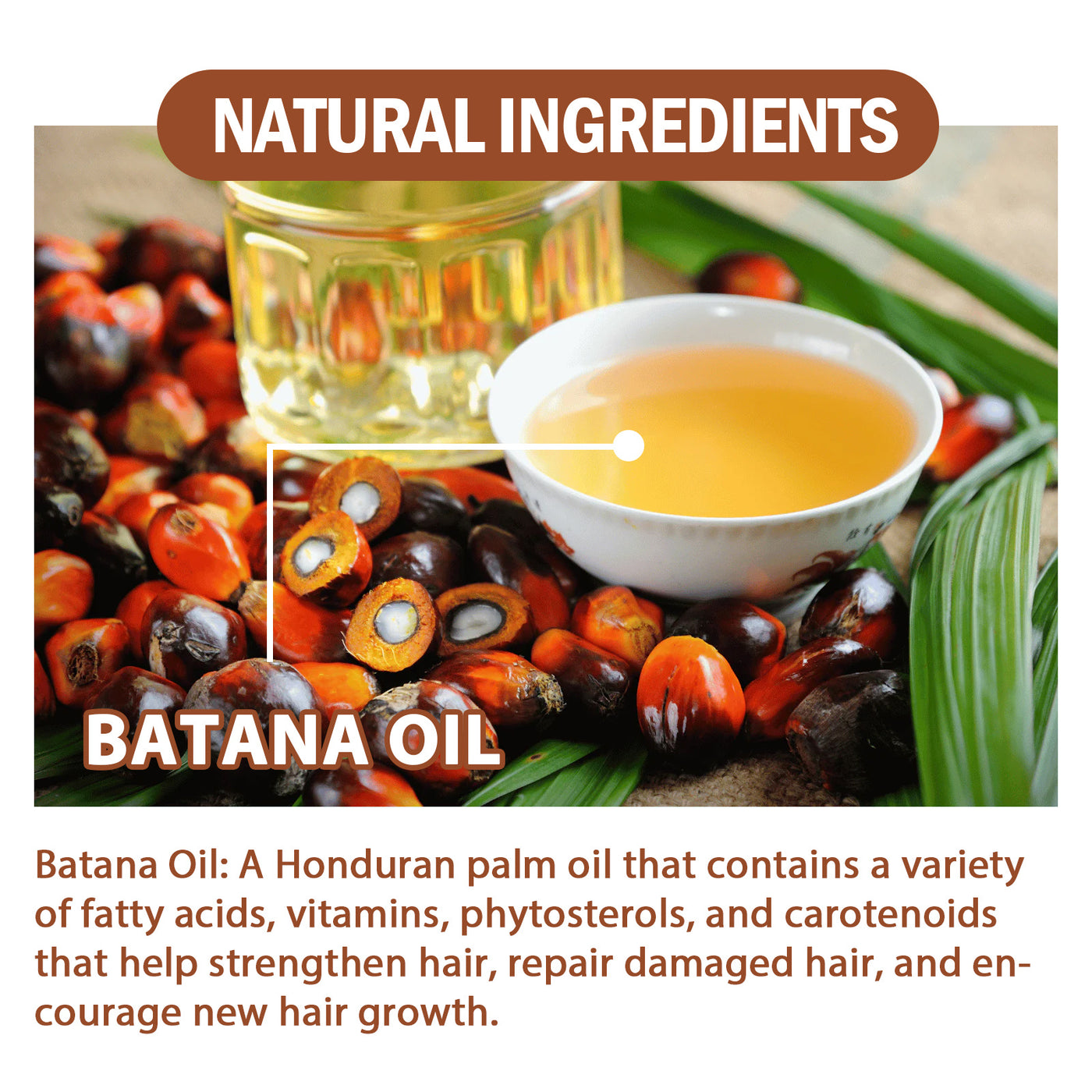 Natural Batana Oil, Dr. Sebi Batana Oil From Honduras